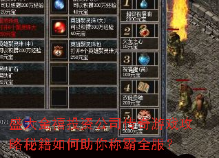 ʢ�����Ͷ�ʹ�˾������Ϸ�����ؼ��������ư�ȫ����