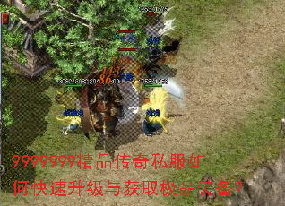 9999999��Ʒ����˽����ο����������ȡ��Ʒװ����