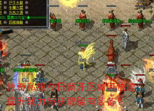 ����˽�������¿�����ο�������ս�����ȡϡ��װ����