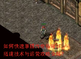 ��ο������մ���˽��SF���������Ӫ����ȫ�⣿