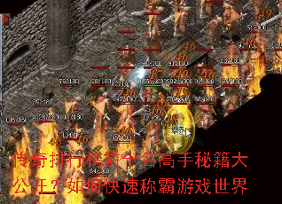 �������а�ǰʮ�������ؼ��󹫿�����ο��ٳư���Ϸ����