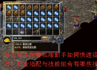 �ϻ��汾����˽��������ο�������ս����ְҵ�����뼼���������Щ���ɣ�