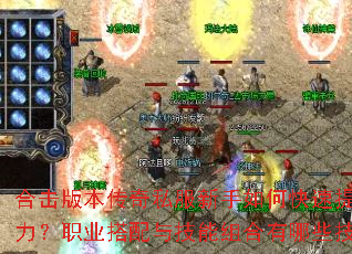 �ϻ��汾����˽��������ο�������ս����ְҵ�����뼼���������Щ���ɣ�