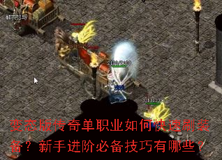 ��̬�洫�浥ְҵ��ο���ˢװ�������ֽ��ױر���������Щ��