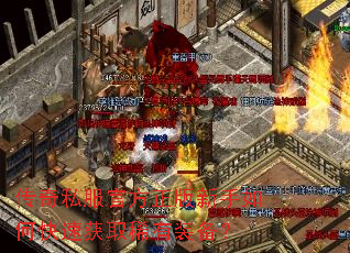 ����˽���ٷ�����������ο��ٻ�ȡϡ��װ����