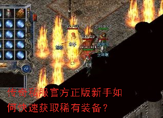 ����˽���ٷ�����������ο��ٻ�ȡϡ��װ����