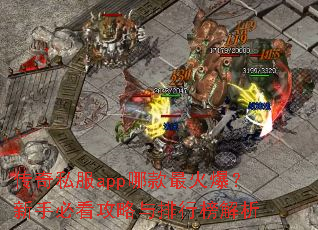 ����˽��app�Ŀ���𱬣����ֱؿ����������а����