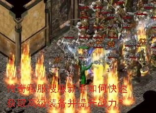 ����˽���ѷ�������ο��ٻ�ȡ�߼�װ��������ս����