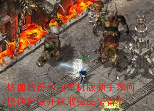 ��Ѫ����˽��������������ο�����������ȡ��Ʒװ����