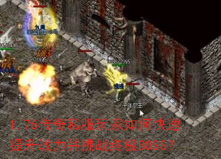 1.76����˽�������ο�������ս������ս�ռ�BOSS��