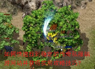 ��ο����ҵ��ȶ��Ĵ���˽��������վ�����ʵ�ù��Լ��ɣ�