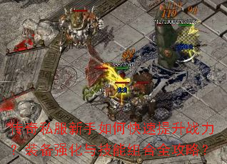 ����˽��������ο�������ս����װ��ǿ���뼼�����ȫ���ԣ�