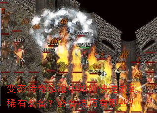 ��̬����˽������ο���ˢ��ϡ��װ�����ر���������Щ��