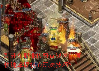 �¿���ְҵ������ս����ο������պ����淨���ɣ�