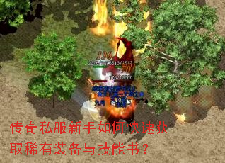 ����˽��������ο��ٻ�ȡϡ��װ���뼼���飿