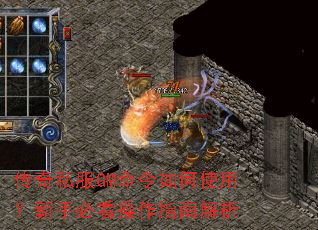 ����˽��GM�������ʹ�ã����ֱؿ�����ָ�Ͻ���