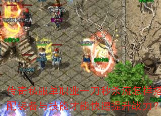 ����˽����ְҵһ����ɱ����������װ���뼼�ܲ��ܿ�������ս����