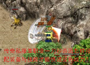 ����˽����ְҵһ����ɱ����������װ���뼼�ܲ��ܿ�������ս����