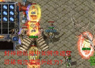 �����˽������ο��ٻ�ȡϡ�з�������ս����