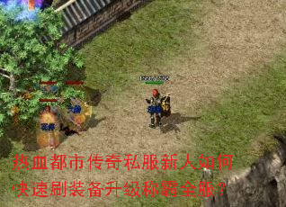 ��Ѫ���д���˽��������ο���ˢװ�������ư�ȫ����