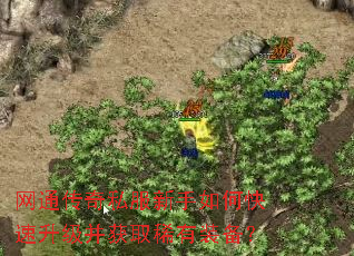 ��ͨ����˽��������ο�����������ȡϡ��װ����