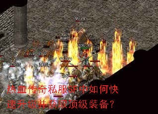 ��Ѫ����˽��SF����ο�����������ȡ����װ����