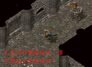 ��������ƽ�þ���˭����սʿ�ռ������