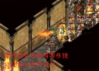 ����΢�䴫������Щ����������߿����ԣ�