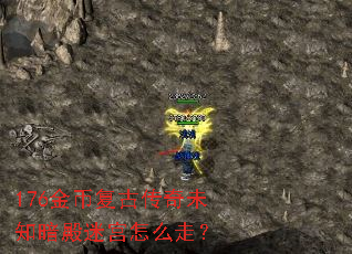 176��Ҹ��Ŵ���δ֪�����Թ���ô�ߣ�