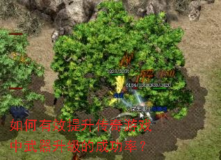 �����Ч����������Ϸ�����������ĳɹ��ʣ�