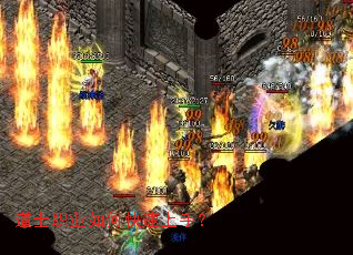 ��ʿְҵ��ο������֣�