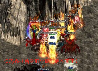 ����ɭ�����·����굽�������