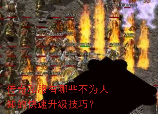 ����˽������Щ��Ϊ��֪�Ŀ����������ɣ�