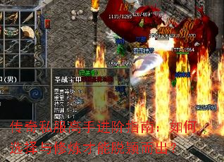 ����˽�����ֽ���ָ�ϣ����ѡ��������������ӱ������