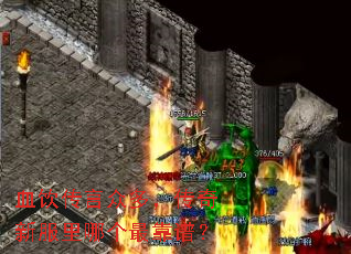 Ѫ�������ڶ࣬�����·����ĸ���ף�