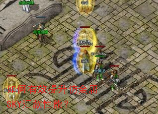 �����Ч�����½�ӹSKY������ܣ�