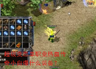 ������̬��ְҵ��Ѫ����С�ױ�ʲôװ����