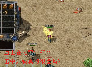 ��ʿ�ڴ���1.95�ϻ���������ĺ�����