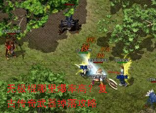 �޼������ﱬ�ʸߣ����Ŵ����������乥��