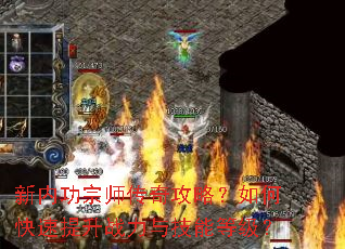 ���ڹ���ʦ���湥�ԣ���ο�������ս���뼼�ܵȼ���