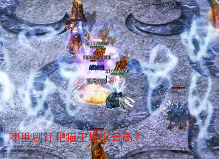 ����ˢ����è��������ߣ�