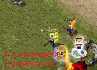 ��������ǿ���ȼ���������Щʵ�����ã�