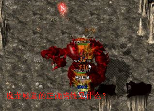 ħ�����õ���ȷ·����ʲô��