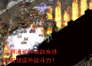 如何通过神魂融合技能有效提升战斗力? 如何通过神魂融合技能有效提升战斗力?