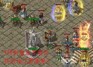 9ת��Ѫ������ѻ�ȡ�ص������