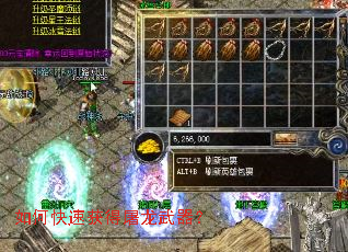 ��ο��ٻ������������