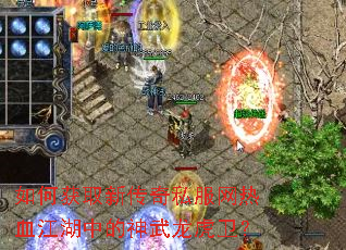 ��λ�ȡ�´���˽������Ѫ�����е�������������