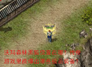 ����ɭ�ֺں�λ�����ģ�������Ϸ���ܱ�����Щ��Ʒװ����