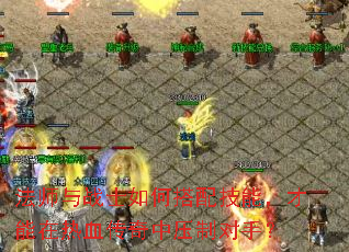 法师与战士如何搭配技能,才能在热血传奇中压制对手? 法师与战士如何搭配技能,才能在热血传奇中压制对手?