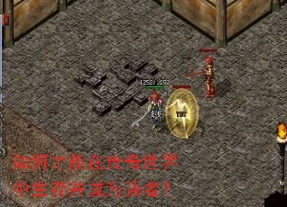 ��β����ڴ������������沢��Ϊǿ�ߣ�